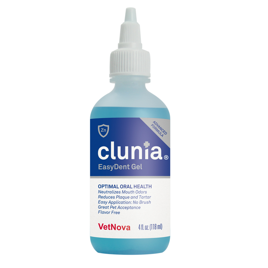 CLUNIA® EasyDent Gel