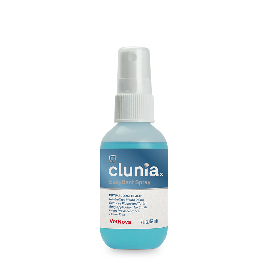 CLUNIA® EasyDent Spray